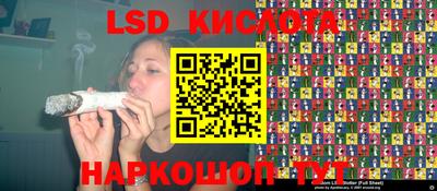 прущие крисы Шелехов